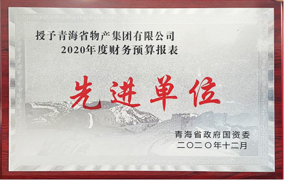 物產(chǎn)集團(tuán)榮獲國資委2020年度財(cái)務(wù)預(yù)算報表工作先進(jìn)單位和省財(cái)政廳2019年度全省