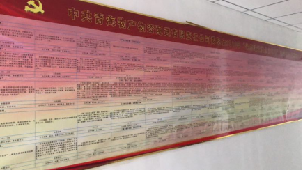 物產配送公司黨委“黨的建設重點強化年”活動2018年工作任務、組織保障具體化